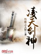 小说：凌天剑神，作者：竹林之大贤