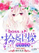 小说：快穿白月光：boss，捡起节操，作者：柳叶风灵