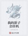 小说：我的影子会挂机，作者：云梦大领主