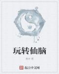 小说：玩转仙脑，作者：悬爷