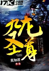 小说：九龙圣尊，作者：莫知君