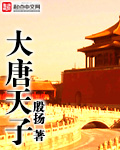 小说：大唐天子，作者：殷扬