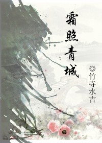 小说：霜照青城，作者：竹寺水吉