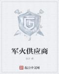 小说：军火供应商，作者：西步