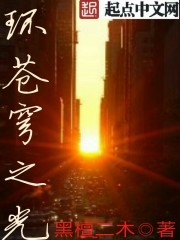 小说：环苍穹之光，作者：黑檀二木