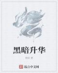 小说：黑暗升华，作者：朔流