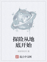 小说：探险从地底开始，作者：维斯特帕列