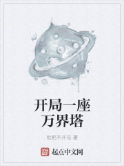 小说：开局一座万界塔，作者：枇杷不开花