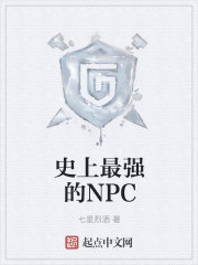 小说：史上最强的NPC，作者：七星烈酒