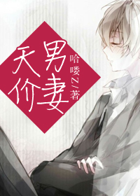 小说：天价男妻，作者：哈喽Z