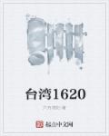 小说：台湾1620，作者：六月艳阳