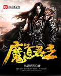 小说：魔道君主，作者：桃源听雨
