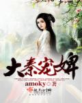 小说：大秦宠婢，作者：amoky