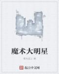 小说：魔术大明星，作者：雅玩居士