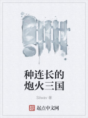 小说：种连长的炮火三国，作者：Silwav