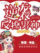 小说：快穿套路：逆袭BOSS反撩男神，作者：殊歌