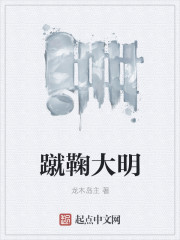 小说：蹴鞠大明，作者：龙木岛主