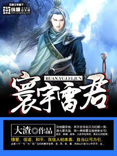 小说：寰宇雷君，作者：大渣