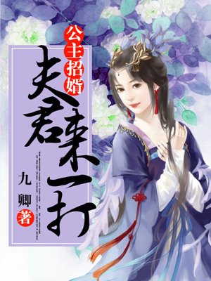 小说：公主招婿，夫君来一打，作者：九卿