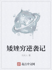 小说：矮矬穷逆袭记，作者：功夫人