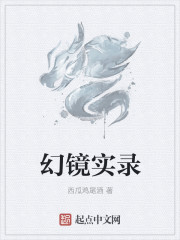 小说：幻镜实录，作者：西瓜鸡尾酒