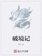 小说：破境记，作者：魔狩