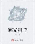 小说：寒光猎手，作者：图山