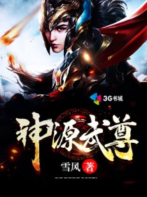 小说：神源武尊，作者：雪风