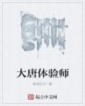 小说：大唐体验师，作者：疯凌乱01