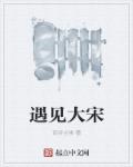 小说：遇见大宋，作者：百步尘埃