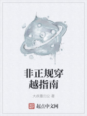 小说：非正规穿越指南，作者：大叔墨归尘