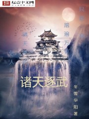 小说：诸天逐武，作者：冬雪华阳