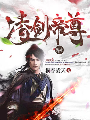 小说：凌剑帝尊，作者：桐谷凌天