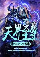 小说：天界至尊，作者：竹林之大贤