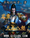 小说：武帝之天龙八部，作者：步枪打蚊子