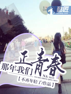 小说：那年我们正青春，作者：不再年轻了