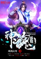 小说：神魂之王，作者：飒飒向寒