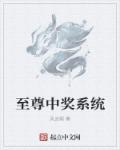 小说：至尊中奖系统，作者：风武烟