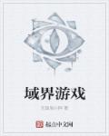 小说：域界游戏，作者：无敌周小胖
