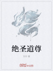 小说：绝圣道尊，作者：文何