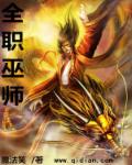 小说：全职巫师，作者：魔法笑