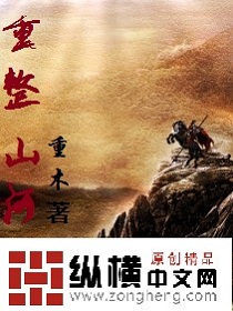 小说：重整山河，作者：重木