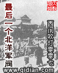 小说：最后一个北洋军阀，作者：西门吹灯零零七