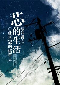 小说：综韩剧之‘芯’的生活，作者：戴皇冠的稻草人