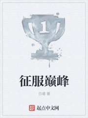 小说：征服巅峰，作者：白墙