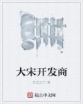 小说：大宋开发商，作者：先生王六