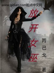 小说：放开女巫，作者：丙己戈