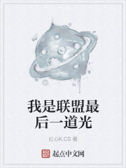 小说：我是联盟最后一道光，作者：红心K.CS