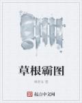 小说：草根霸图，作者：雍青玄