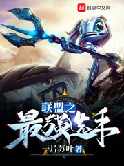 小说：联盟之最强选手，作者：一片苏叶